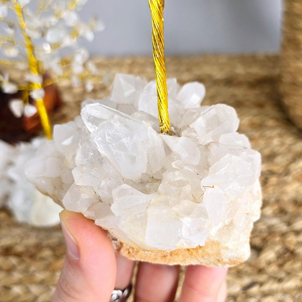 Clear Quartz Crystal Tree: Himalayan Quartz Cluster Base