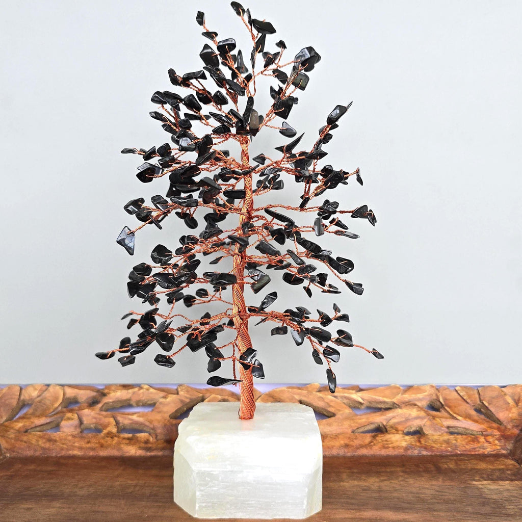 Black Tourmaline Crystal Tree with Selenite Base