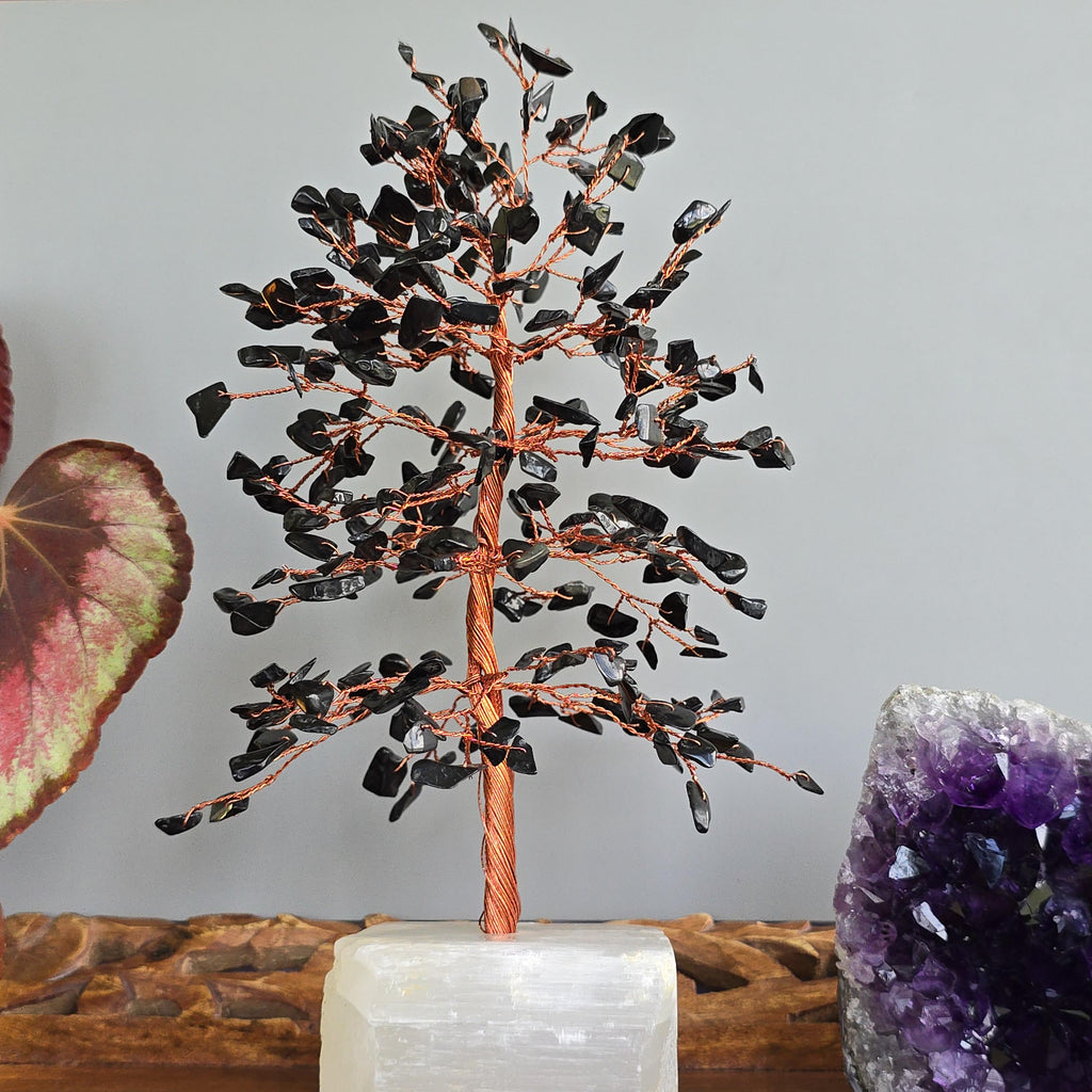 Black Tourmaline Crystal Tree with Selenite Base