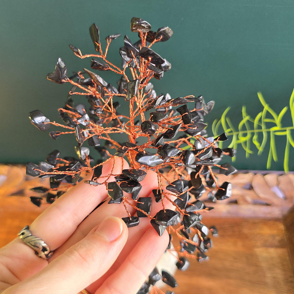 Black Tourmaline Crystal Tree with Selenite Base